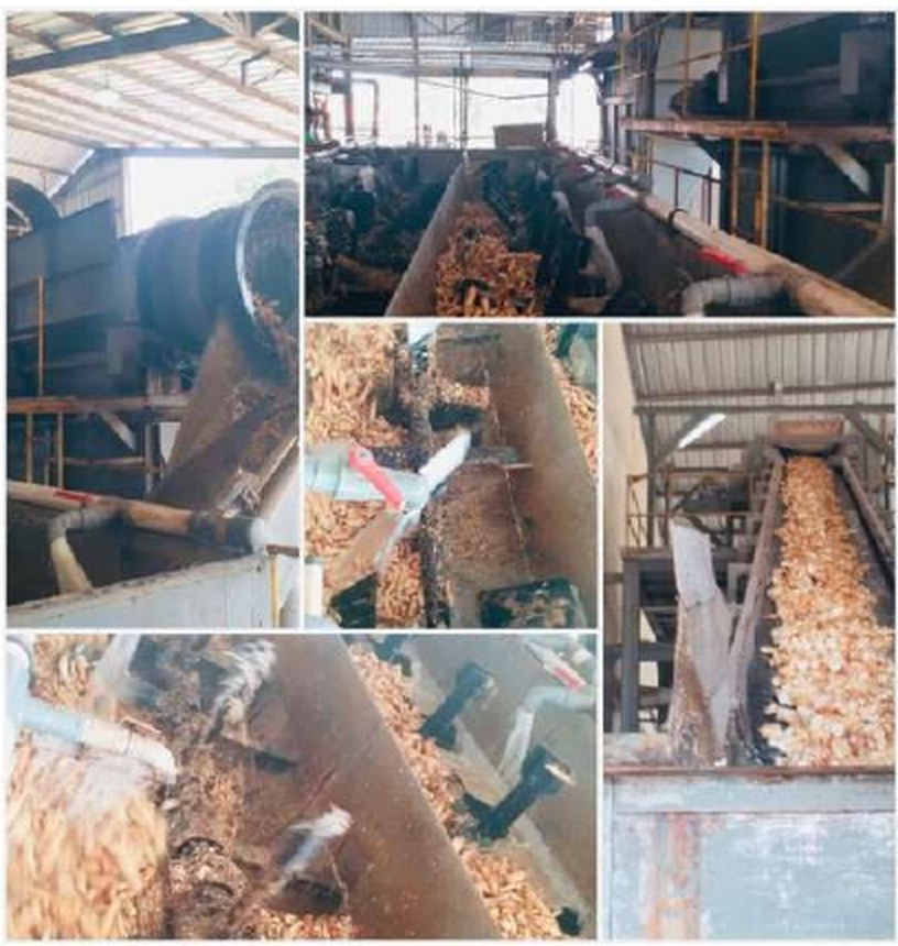 Cassava processing equipment inside the factory