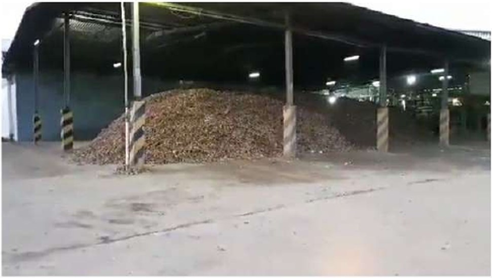 Cassava raw material stored at the factory