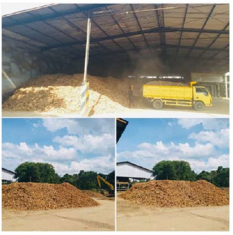 Cassava raw material handling yard